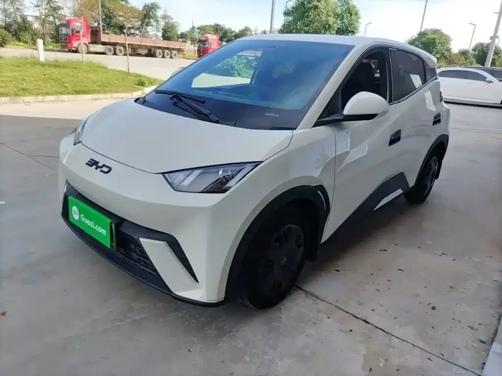 2025 BYD Seagull 305km Vitality