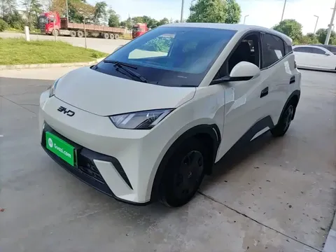 2025 BYD Seagull 305km Vitality