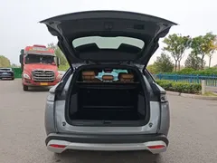 2024 BYD Song L PHEV 112km — фото 19