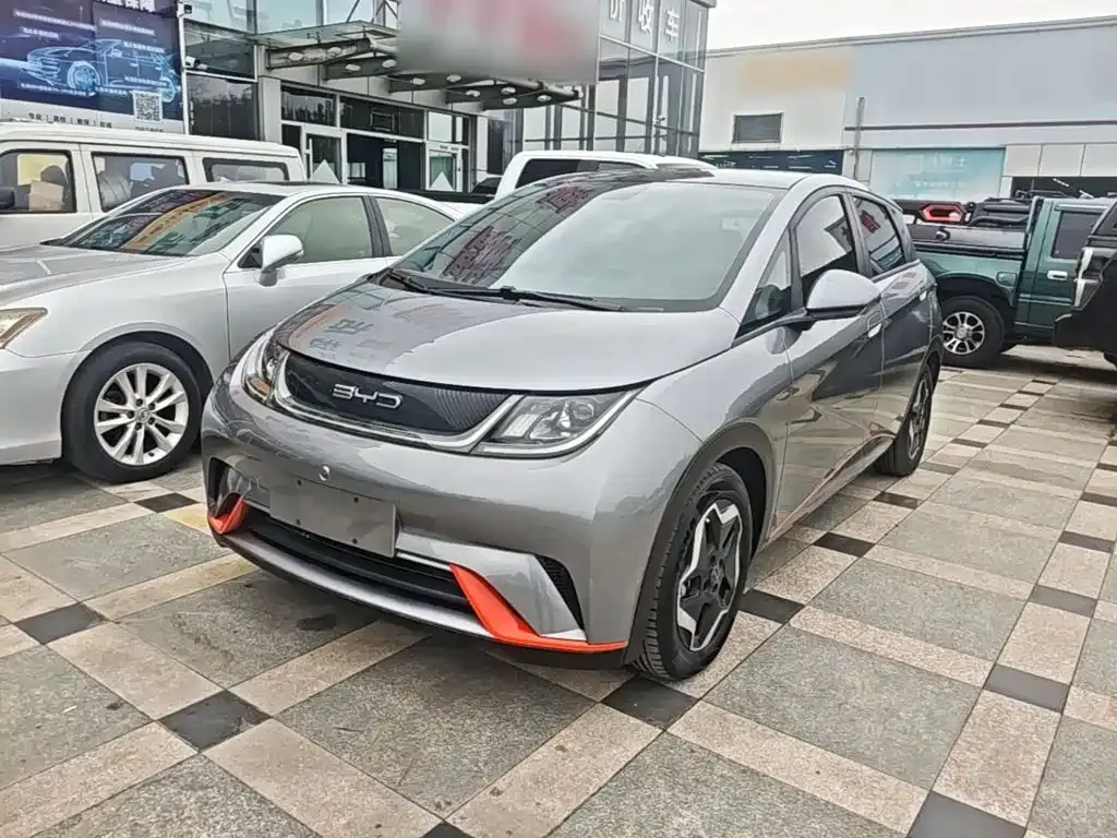 2021 BYD Dolphin 405km Fashion