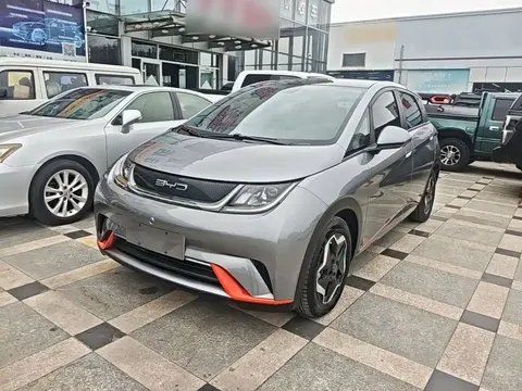 2021 BYD Dolphin 405km Fashion