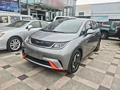 2021 BYD Dolphin 405km Fashion — фото 2