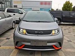 2021 BYD Dolphin 405km Fashion — фото 3