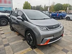 2021 BYD Dolphin 405km Fashion — фото 4