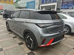 2021 BYD Dolphin 405km Fashion — фото 5