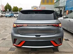 2021 BYD Dolphin 405km Fashion — фото 6