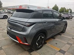 2021 BYD Dolphin 405km Fashion — фото 7