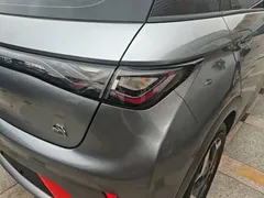 2021 BYD Dolphin 405km Fashion — фото 8