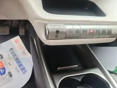 2021 BYD Dolphin 405km Fashion — фото 14