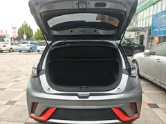 2021 BYD Dolphin 405km Fashion — фото 19