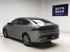 2023 BYD Qin PLUS Champion DM-i PHEV 120km Excellence — фото 6