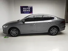 2023 BYD Qin PLUS Champion DM-i PHEV 120km Excellence — фото 9