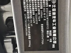 2023 BYD Qin PLUS Champion DM-i PHEV 120km Excellence — фото 12
