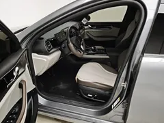 2023 BYD Qin PLUS Champion DM-i PHEV 120km Excellence — фото 15