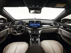2023 BYD Qin PLUS Champion DM-i PHEV 120km Excellence — фото 18