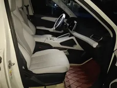 2025 BYD Yuan UP EV 301km Pilot — фото 8