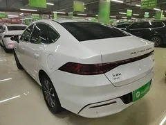 2024 BYD Qin PLUS Honor DM-i PHEV 55km Leading, белый — фото 5