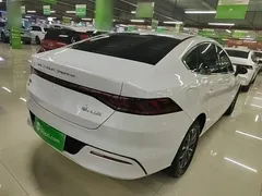 2024 BYD Qin PLUS Honor DM-i PHEV 55km Leading, белый — фото 7