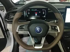 2024 BYD Qin PLUS Honor DM-i PHEV 55km Leading, белый — фото 11