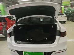 2024 BYD Qin PLUS Honor DM-i PHEV 55km Leading, белый — фото 19