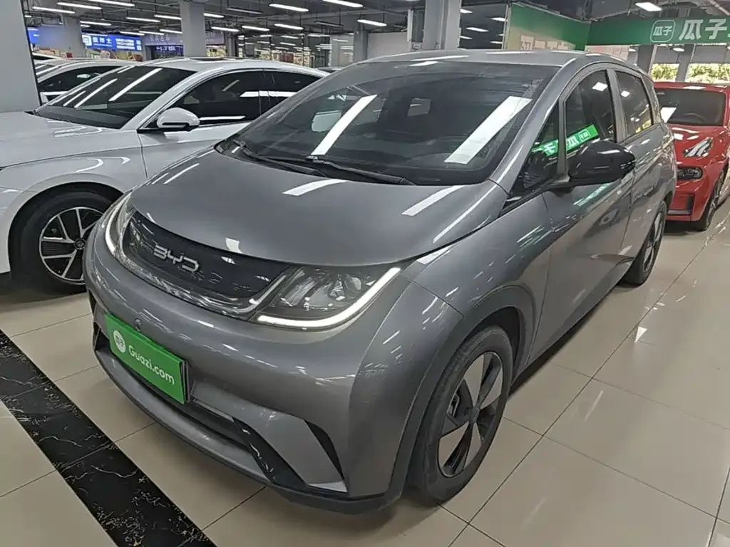 2023 BYD Dolphin 420km Freedom