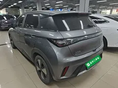 2023 BYD Dolphin 420km Freedom — фото 5