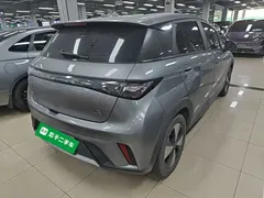 2023 BYD Dolphin 420km Freedom — фото 7