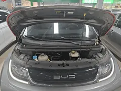 2023 BYD Dolphin 420km Freedom — фото 20