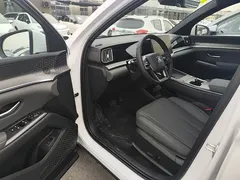 2026 BYD Song Pro DM-i PHEV 133km Exceed, белый — фото 16