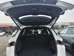 2026 BYD Song Pro DM-i PHEV 133km Exceed, белый — фото 19
