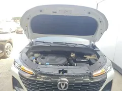 2022 Changan CS55 PLUS 2nd Gen 1.5T DCT Luxury, белый — фото 20