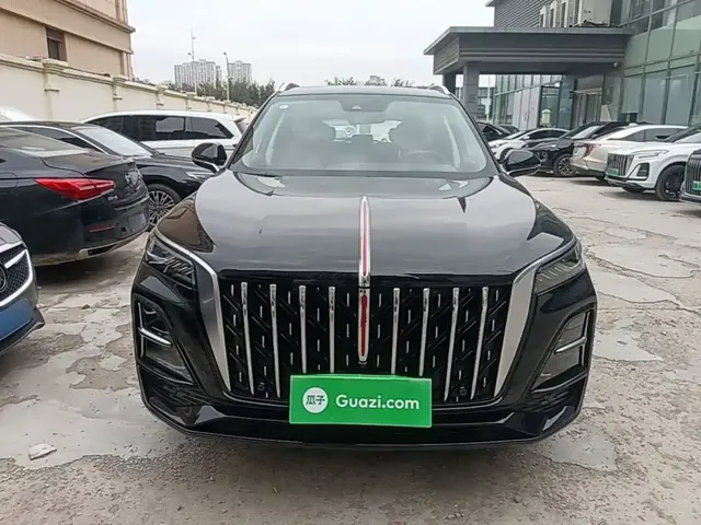 2023 Hongqi HS5 2.0T 4WD Qixiang Pro 500,000th Anniversary Edition