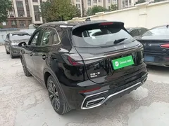 2023 Hongqi HS5 2.0T 4WD Qixiang Pro 500,000th Anniversary Edition, чёрный — фото 5