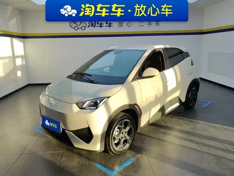 2025 BYD Seagull Smart Driving 405km Freedom