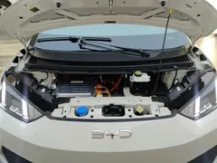 2025 BYD Seagull Smart Driving 405km Freedom, белый — фото 10