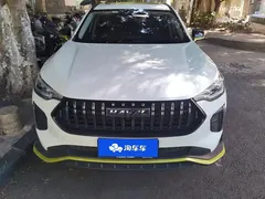 2022 Haval Chitu 1.5T, белый — фото 2