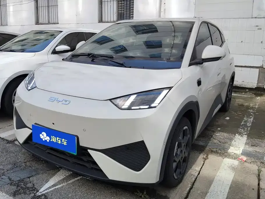 2025 BYD Seagull Smart Driving 305km Freedom