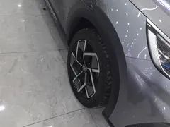 2023 BYD Yuan PLUS Champion 510km Excellence — фото 6
