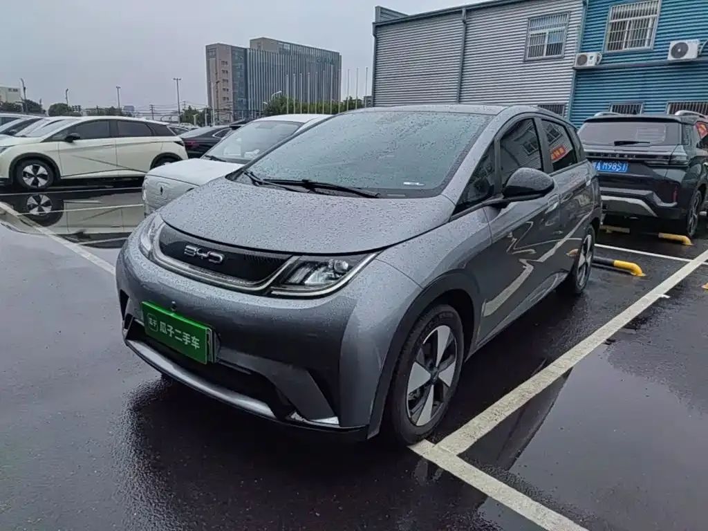 2023 BYD Dolphin 420km Fashion