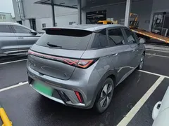2023 BYD Dolphin 420km Fashion — фото 7