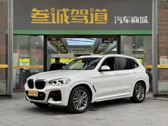 2021 BMW X3, белый — фото 1
