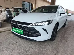 2025 BYD Qin PLUS DM-i PHEV Smart Driving 128km Advance, белый — фото 2