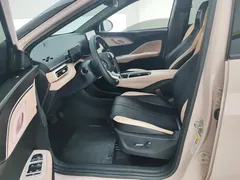 2024 BYD Seagull EV Glory 405km Flying — фото 9