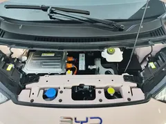 2024 BYD Seagull EV Glory 405km Flying — фото 10