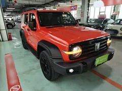 2023 Tank 300 Off-road 2.0T Challenger — фото 4