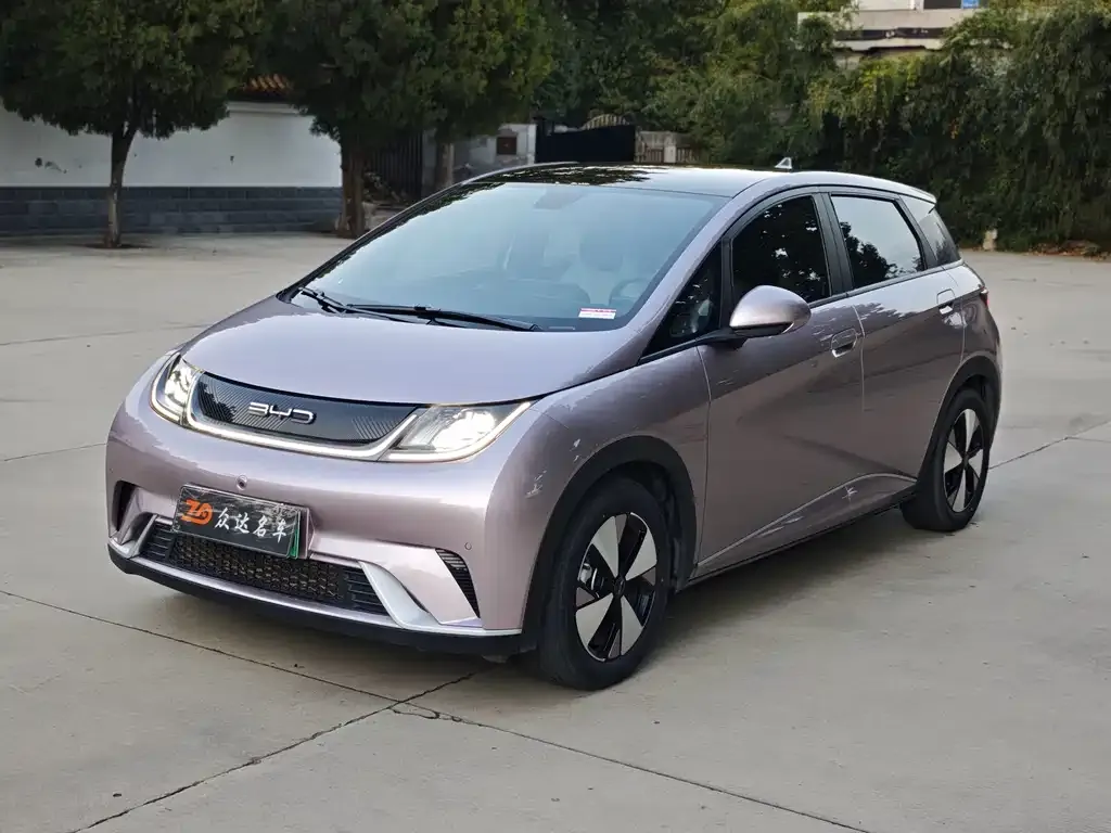 2024 BYD Dolphin Honor 420km Fashion