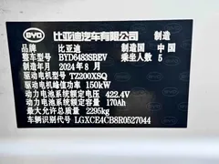 2025 BYD Song PLUS EV 520km Premium, белый — фото 13