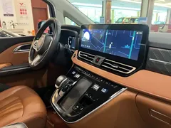 2024 Hongqi HQ9 2.0T PHEV 4WD Business, чёрный — фото 13