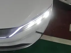 2020 BYD Han EV Long Range Luxury, белый — фото 5