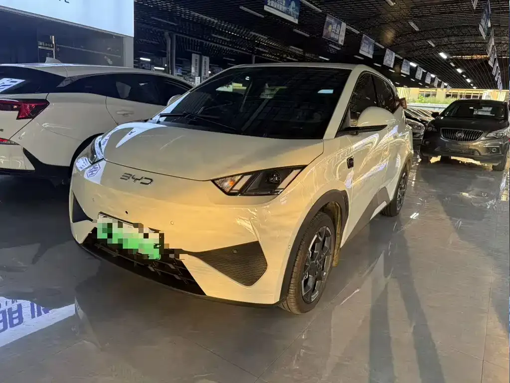 2025 BYD Seagull Smart Driving 305km Freedom